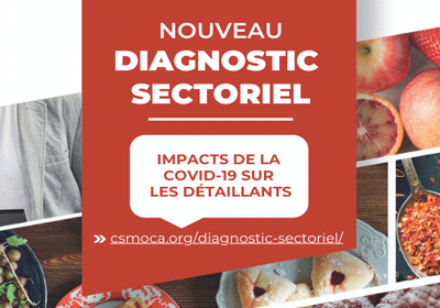 Diagnostic sectoriel du CSMOCA